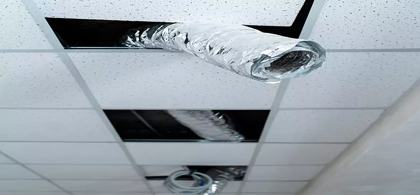 Affordable HVAC Sanitizing After Pest Removal in Santa Clarita