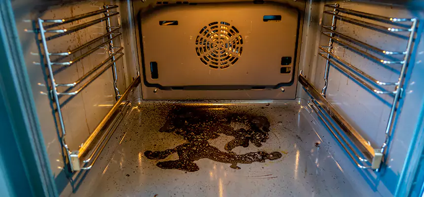 Our Dryer Vent Mold Cleaning Services in Santa Clarita, CA