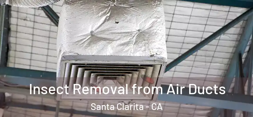 Insect Removal from Air Ducts Santa Clarita - CA