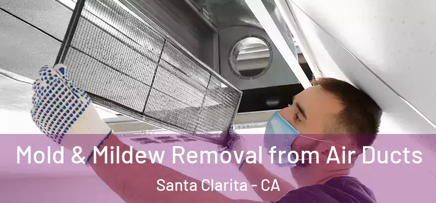 Mold & Mildew Removal from Air Ducts Santa Clarita - CA
