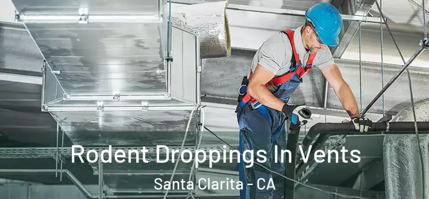 Rodent Droppings In Vents Santa Clarita - CA