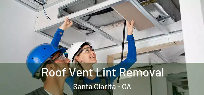 Roof Vent Lint Removal Santa Clarita - CA