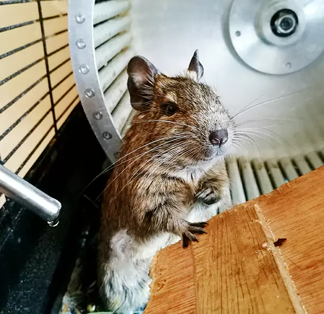 Why Homeowners & Businesses Trust Us Santa Clarita, CA