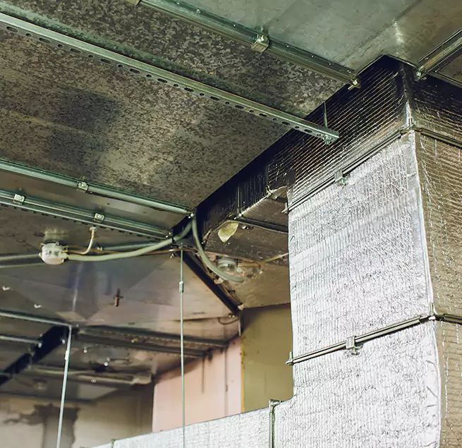 Why Homeowners & Businesses Trust Us in Santa Clarita, CA?